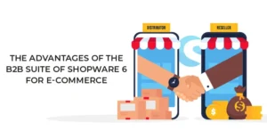 The advantages of the B2B Suite of Shopware 6 for E-Commerce | BrandCrock