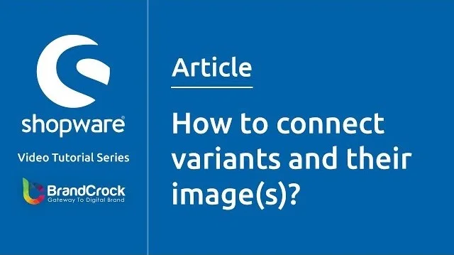 Shopware tutorials: How to connect variants and their images | BrandCrock