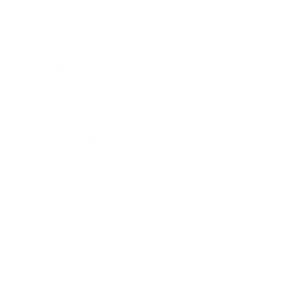 Shopify Plus | BrandCrock