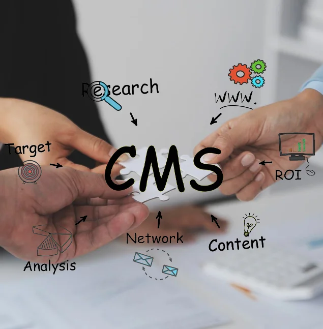 CMS Solutions by BrandCrock